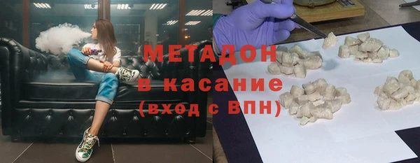 индика Костерёво