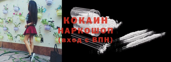 индика Костерёво