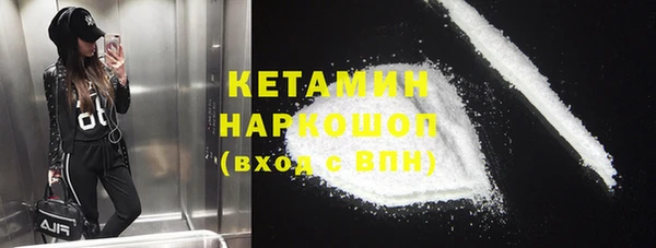индика Костерёво