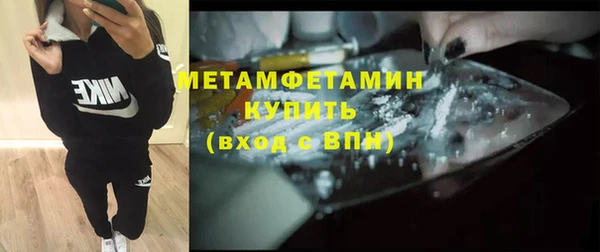 индика Костерёво