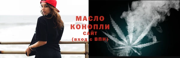 индика Костерёво