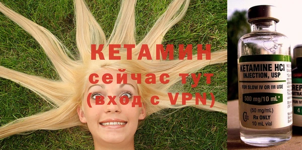 индика Костерёво