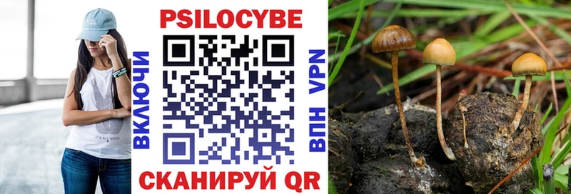 Псилоцибиновые грибы Psilocybine cubensis  где продают наркотики  Омутнинск 
